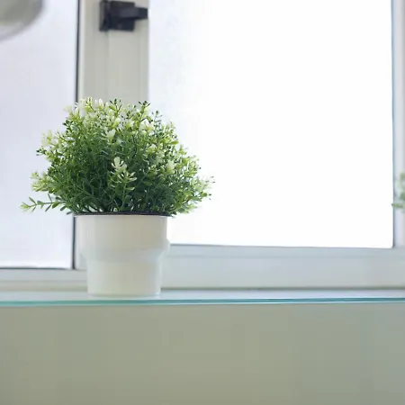 Guest Alegria Flat Downtown Apartment Porto