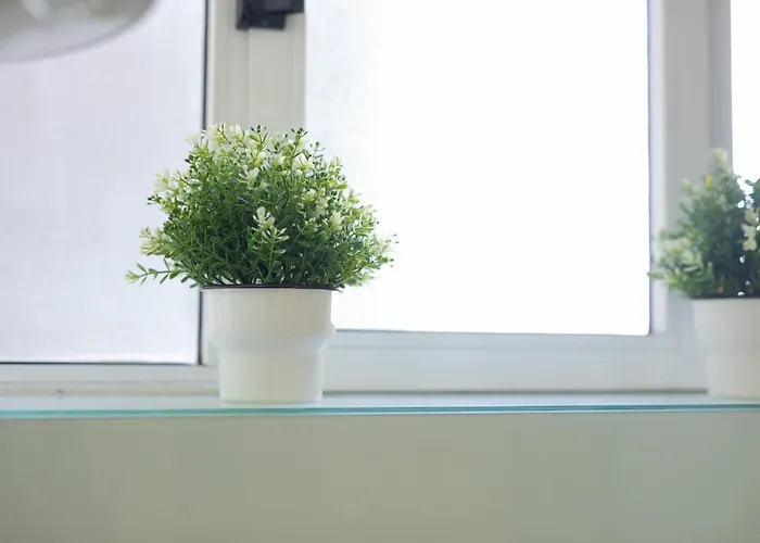 Guest Alegria Flat Downtown Appartamento Oporto